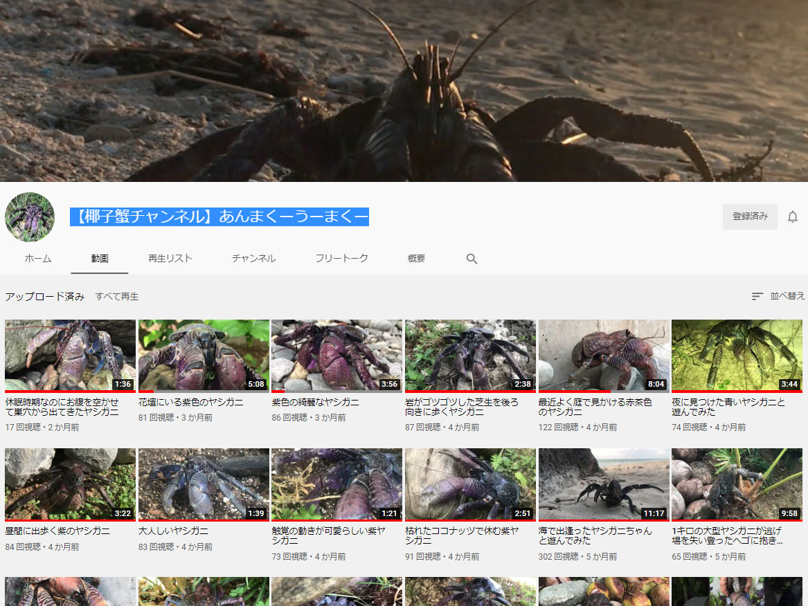 YouTubeチャンネル【椰子蟹チャンネル】あんまくーうーまくー
